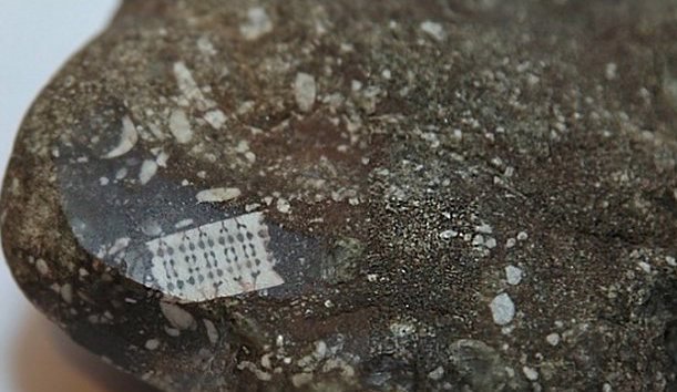 Странная находка: российские исследователи изучают микрочип возрастом 250 миллионов лет Странная находка: российские исследователи изучают микрочип возрастом 250 миллионов лет