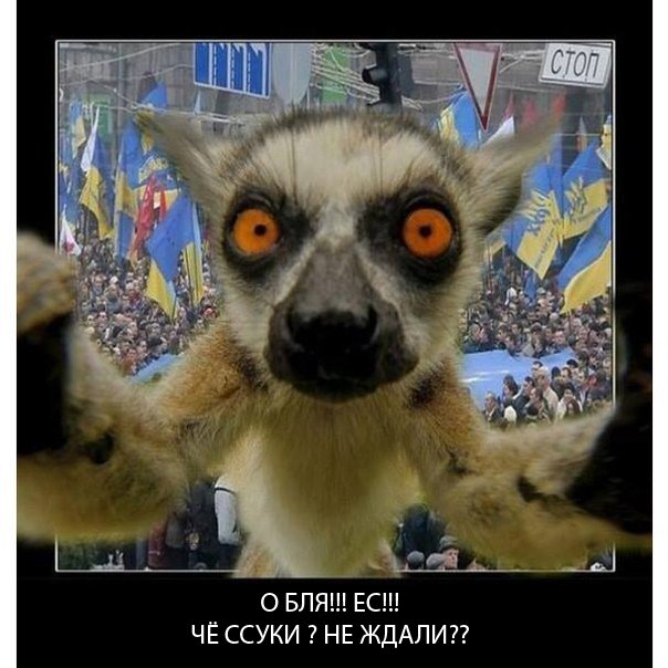 Украина требует от Франции Украина требует от Франции