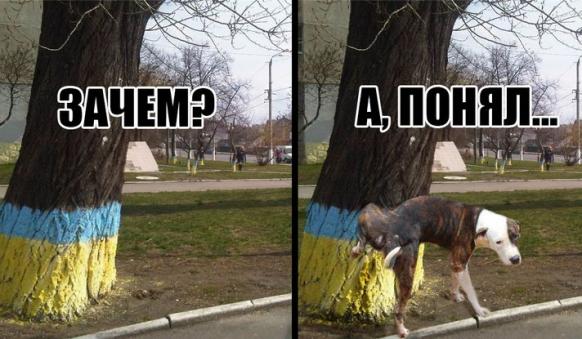 "Мыздобулы" в картинках. Смешных и не очень... 10-04-2015