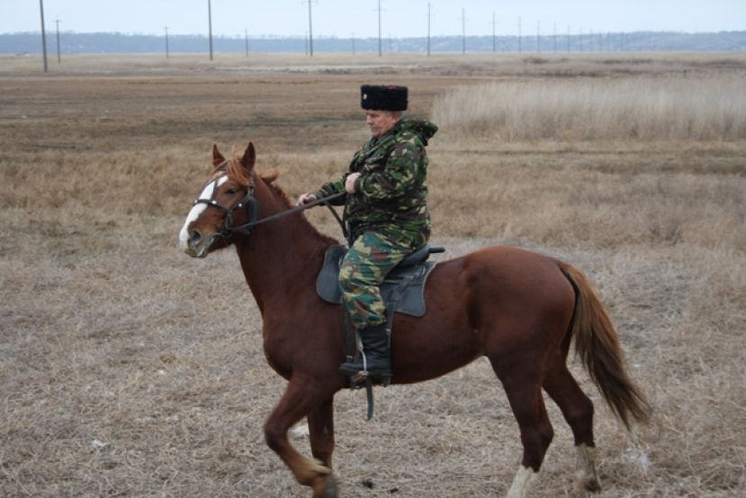 Конный переход казаков юга России: подготовка завершается Конный переход казаков юга России: подготовка завершается