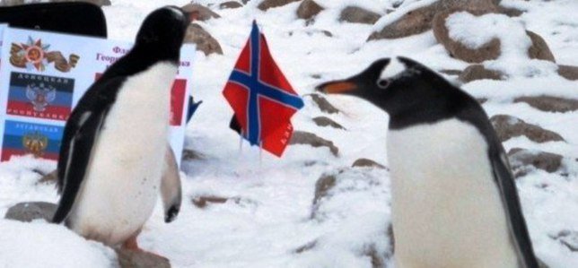 Над Антарктидой подняли флаги Донецкой и Луганской народных республик, Новороссии и Знамя Победы. Над Антарктидой подняли флаги Донецкой и Луганской народных республик, Новороссии и Знамя Победы.