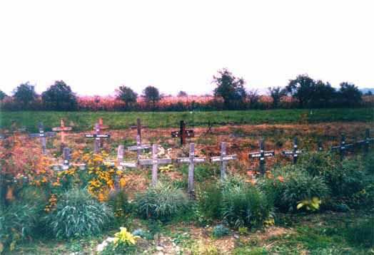 Что ждёт Донбасс если Украина повторит «хорватский сценарий»? Что ждёт Донбасс если Украина повторит «хорватский сценарий»?