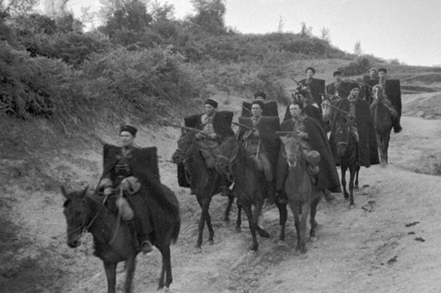 «Четвероногие солдаты». Как животные воевали за Победу «Четвероногие солдаты». Как животные воевали за Победу