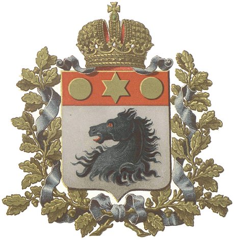 Как харьковчане врагов Украины гоняли Как харьковчане врагов Украины гоняли