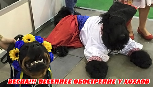 "Мыздобулы" в картинках. Смешных и не очень...23-04-2015