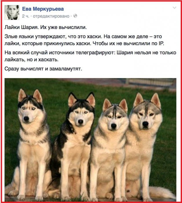 "Мыздобулы" в картинках. Смешных и не очень...23-04-2015