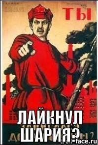 Лайки за Шария 2 Лайки за Шария 2