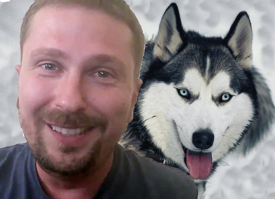 Лайки за Шария 2 Лайки за Шария 2