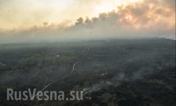 Сводки от ополчения Новороссии 28.04.2015 Сводки от ополчения Новороссии 28.04.2015