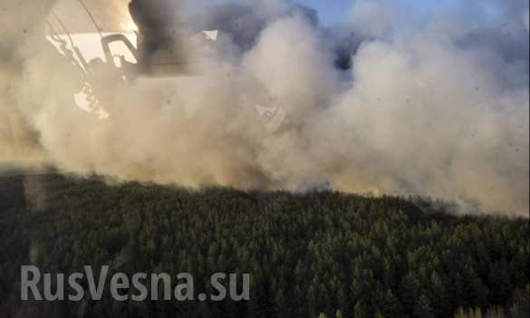 Сводки от ополчения Новороссии 28.04.2015 Сводки от ополчения Новороссии 28.04.2015