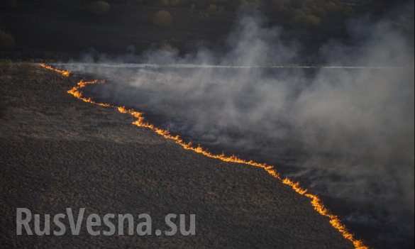 Сводки от ополчения Новороссии 28.04.2015 Сводки от ополчения Новороссии 28.04.2015