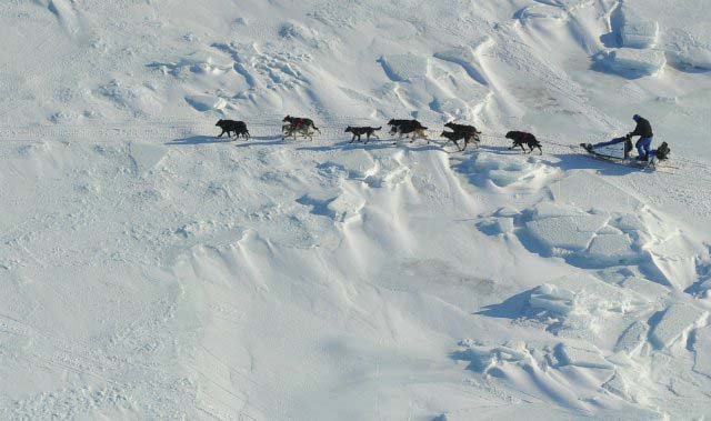 Госдеп США: Россия руками чукчей готовит агрессию против США Госдеп США: Россия руками чукчей готовит агрессию против США