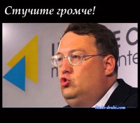 Свинорыл Онтоха обвинил Тимошенко и «Свободу» в работе на Кремль