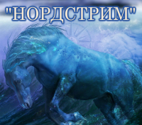 Пловец из Днепропетровска готовит новый заплыв в Крыму