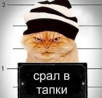 Поймал бытового сепаратиста /Александр Зубченко/