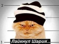 Лайки за Шария. Соцсети взорвались фотожабами на угрозу Геращенко