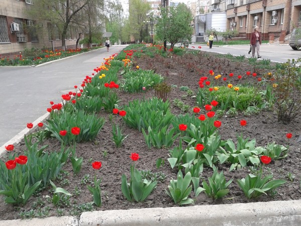 ДНР: все только начинается!