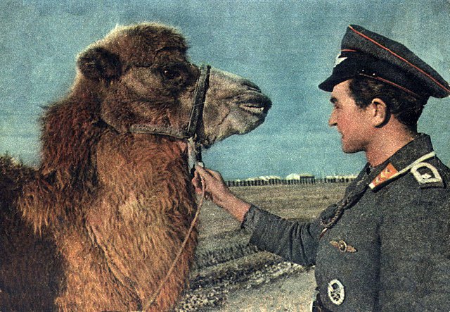 Как немцы собирались колонизировать Крым 