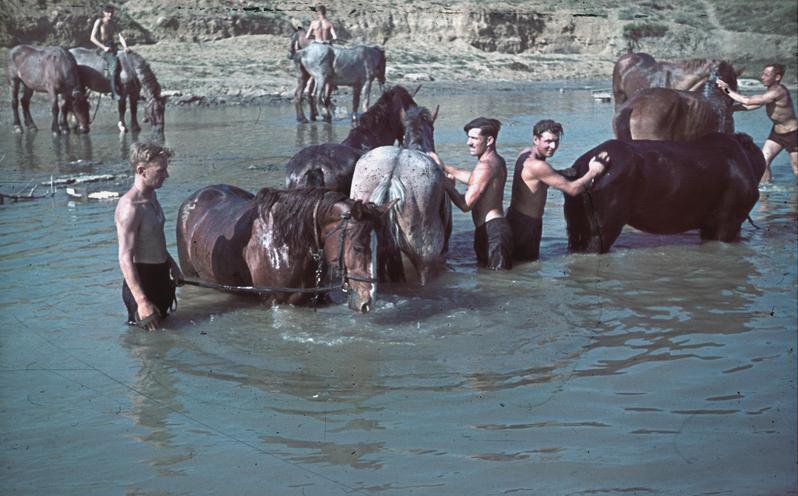 Как немцы собирались колонизировать Крым 