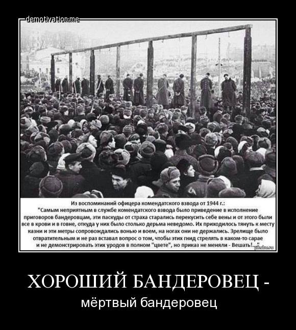 Карасёв: Задача Киева – сделать максимально нацистское государство Карасёв: Задача Киева – сделать максимально нацистское государство
