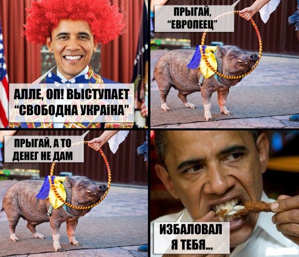 "Мыздобулы" в картинках. Смешных и не очень...07-05-2015