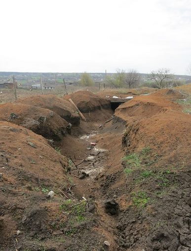 После дождя... После дождя...