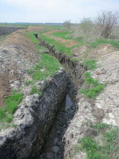 После дождя... После дождя...