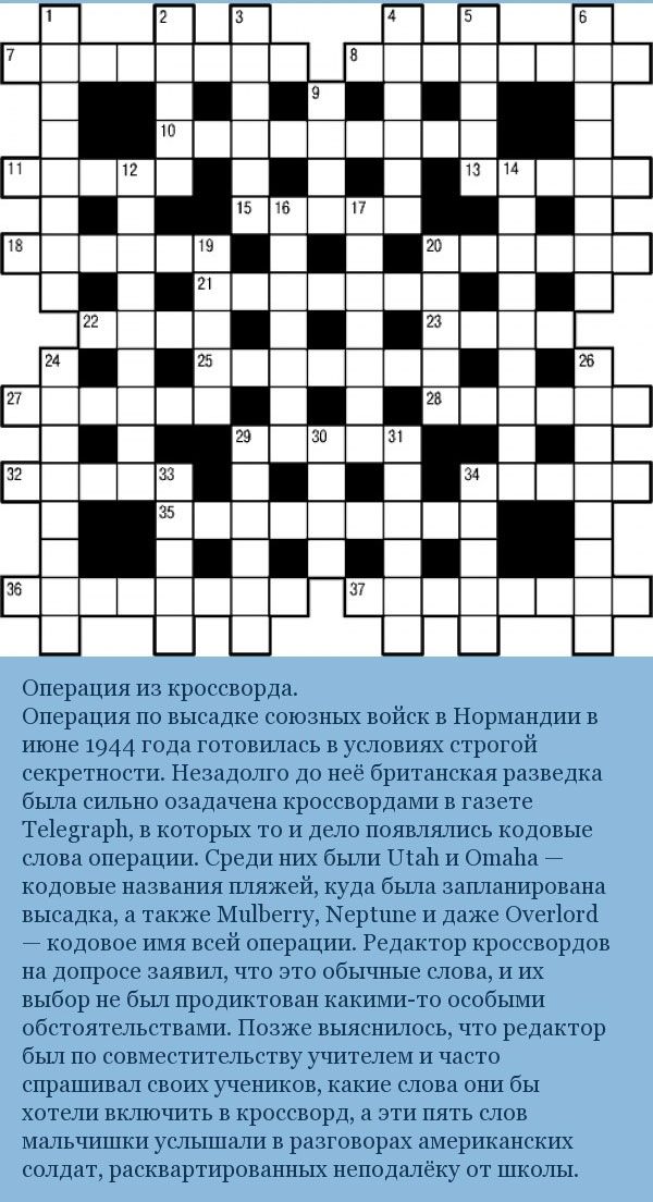 Курьезы, произошедшие во время второй мировой войны