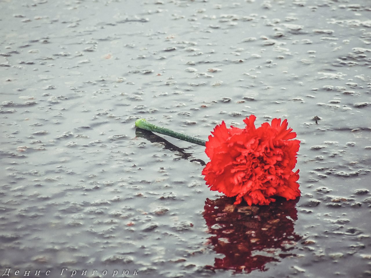 Онлайн-трансляция парада в честь Дня Победы в Донецке Онлайн-трансляция парада в честь Дня Победы в Донецке