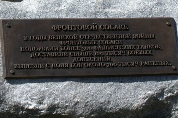 Псы войны Псы войны