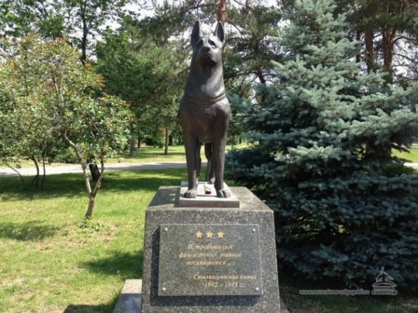 Псы войны Псы войны