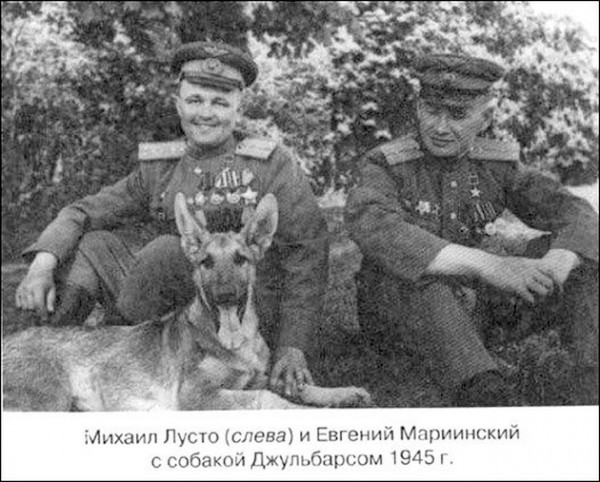 Псы войны Псы войны