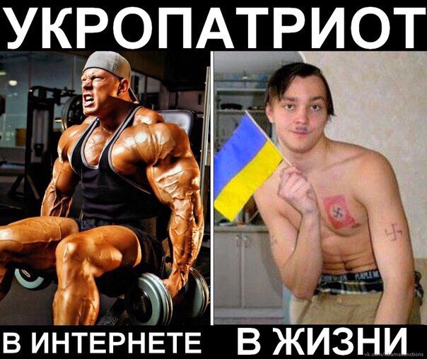 "Мыздобулы" в картинках. Смешных и не очень...11-05-2015