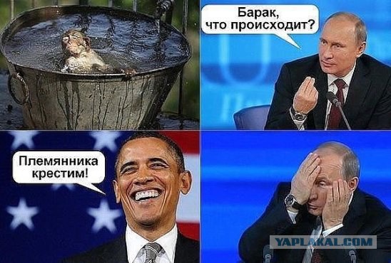 "Мыздобулы" в картинках. Смешных и не очень...11-05-2015