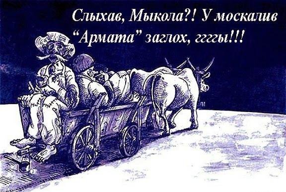 "Мыздобулы" в картинках. Смешных и не очень...11-05-2015