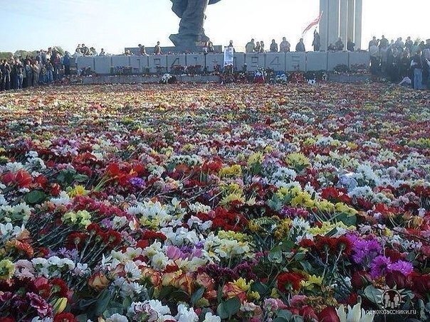 Сводки от ополчения Новороссии 12.05.2015 Сводки от ополчения Новороссии 12.05.2015