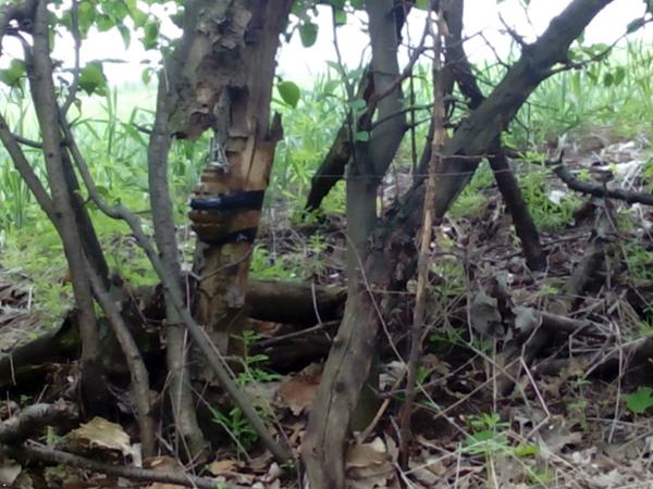 Сводки от ополчения Новороссии 14.05.2015 Сводки от ополчения Новороссии 14.05.2015