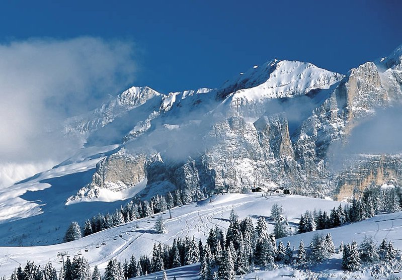 Крым может стать круглогодичным курортом Крым может стать круглогодичным курортом