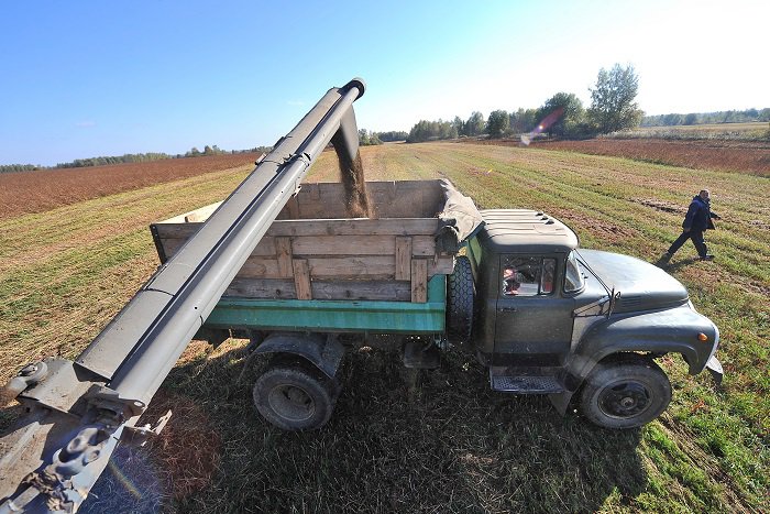 В ДНР создан госрезерв В ДНР создан госрезерв