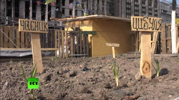 Грязь из-под ногтей пора бы вычистить, и цыбули поменьше Грязь из-под ногтей пора бы вычистить, и цыбули поменьше