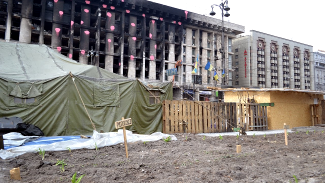 Насекомые Насекомые