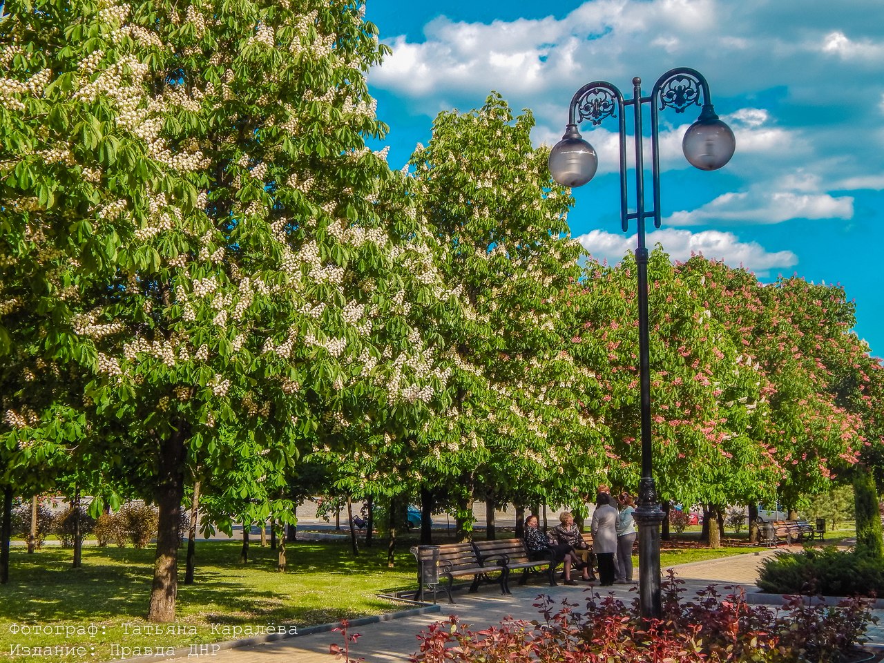 Татьяна Каралёва: "Прогулка в солнечном Донецке" Татьяна Каралёва: "Прогулка в солнечном Донецке"