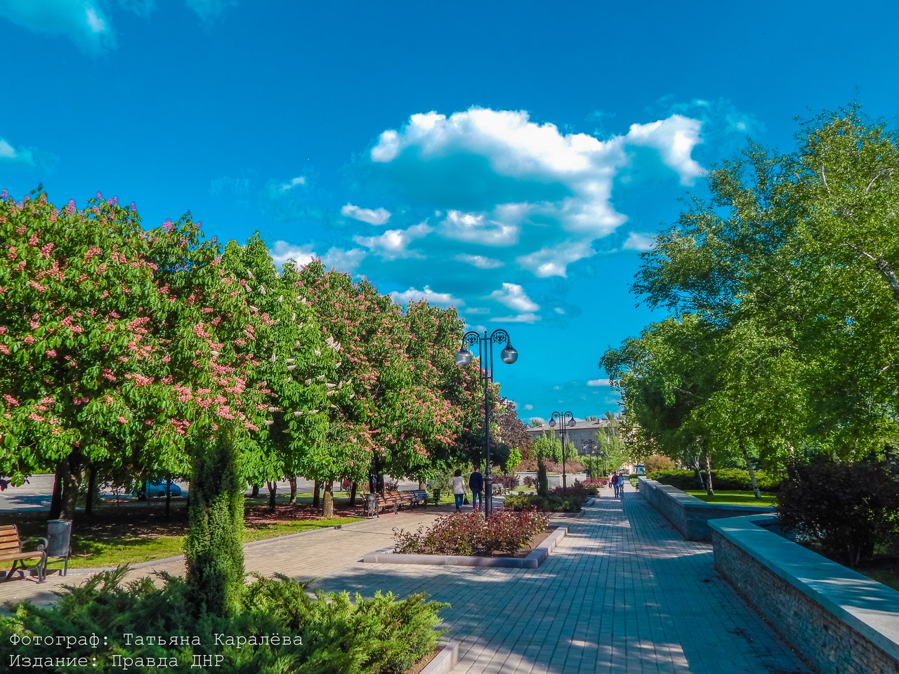 Татьяна Каралёва: "Прогулка в солнечном Донецке" Татьяна Каралёва: "Прогулка в солнечном Донецке"