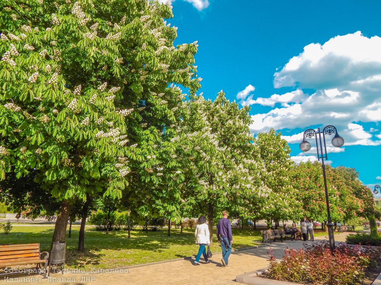 Татьяна Каралёва: "Прогулка в солнечном Донецке" Татьяна Каралёва: "Прогулка в солнечном Донецке"