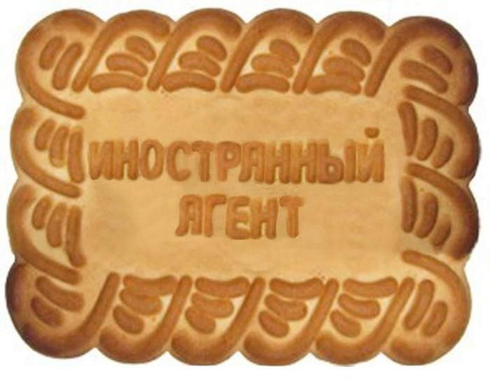 Госдума приняла закон о «нежелательных» НПО Госдума приняла закон о «нежелательных» НПО