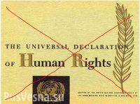 Усе! Приехали, господа грибы!