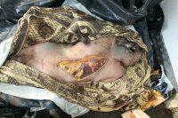 (18+) Лики войны. Киборги из аэропорта (2014-2015)