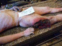 (18+) Лики войны. Киборги из аэропорта (2014-2015)