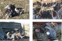 (18+) Лики войны. Киборги из аэропорта (2014-2015)