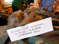 (18+) Лики войны. Киборги из аэропорта (2014-2015)